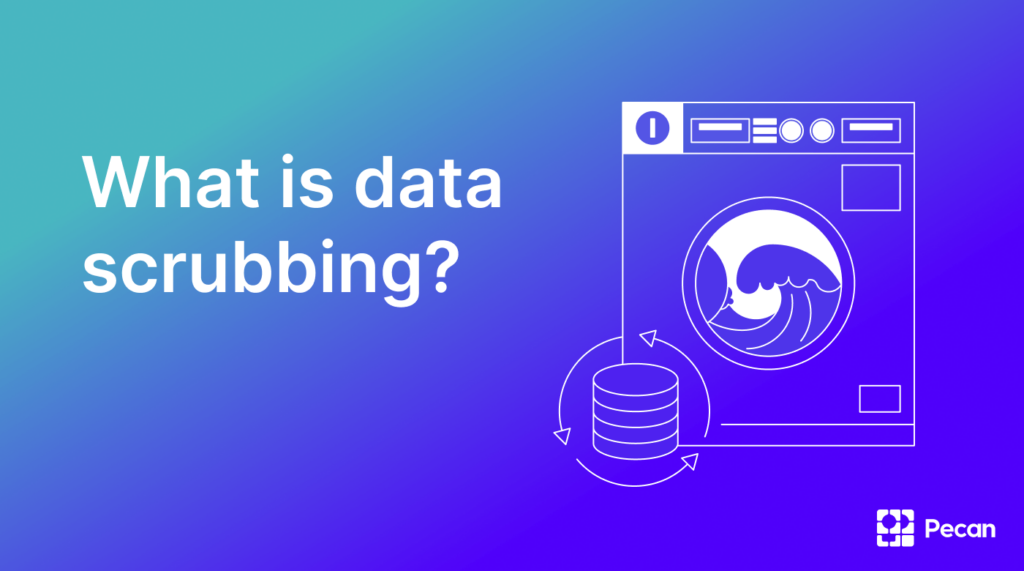 Definition of data Scrubbing  